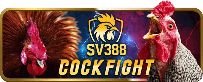 Hướng dẫn tải Falconbet APK