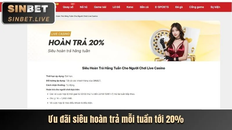 Tầm nhìn tương lai của Falconbet